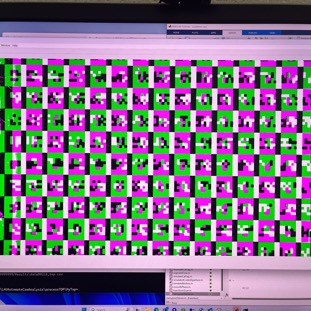 Visualizing the epipolar calibration of a stereocamera pair